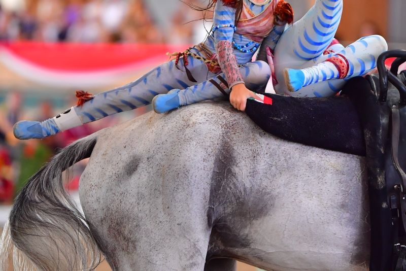 Volteggio, Campionati Europei Junior e Young Vaulters 2026: le iscrizioni nominative