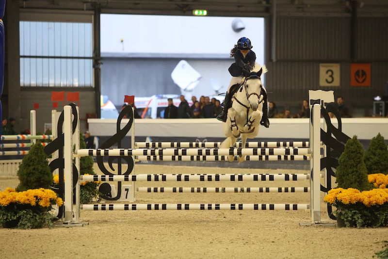 Arena Fise 2020: on line i nominativi degli junior pony qualificati