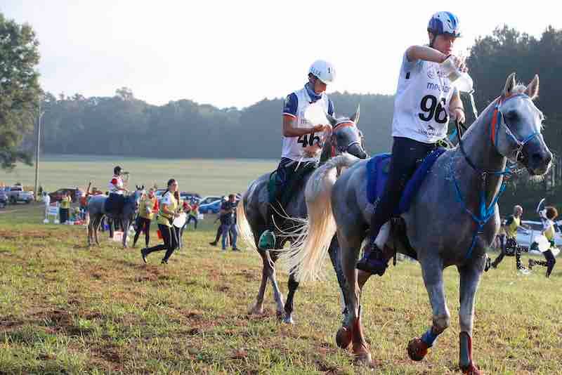 TRYON2018: Endurance. Gara annullata per garantire benessere dei cavalli