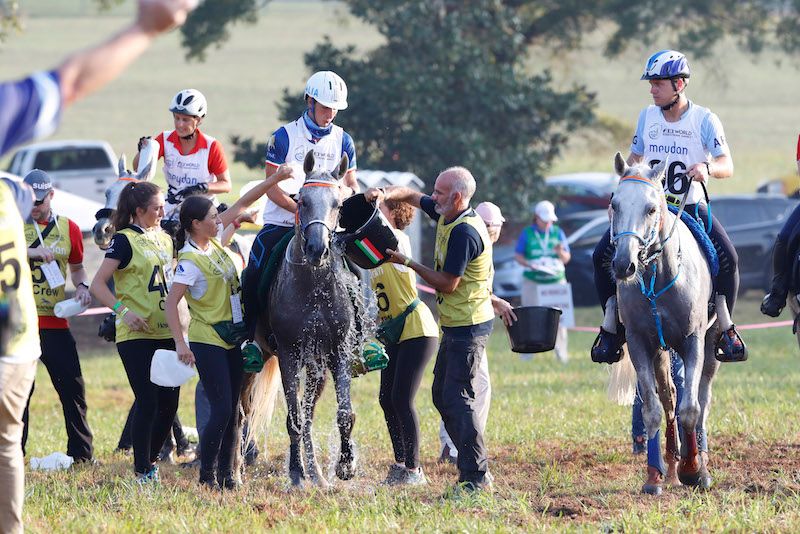 TRYON2018: Endurance. Gara interrotta riparte su un tracciato ridotto
