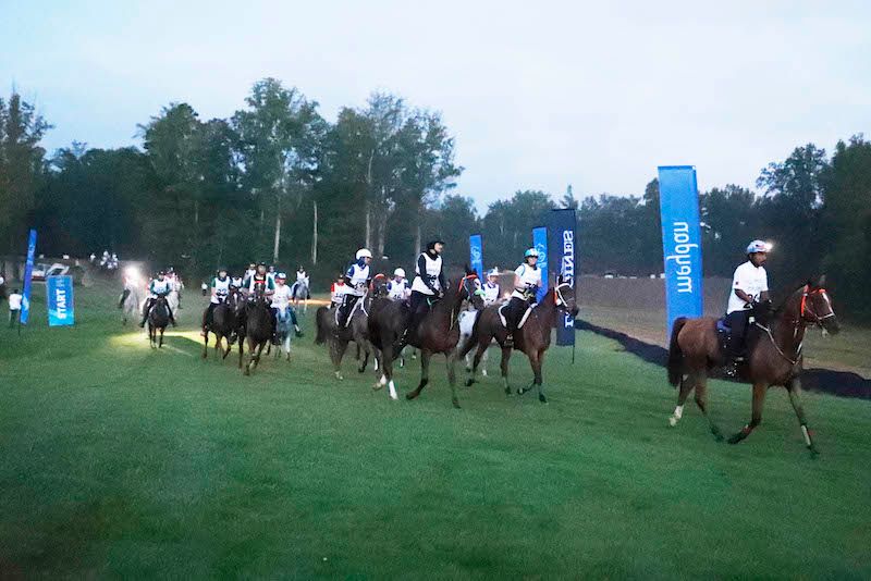 STATEMENT OF THE ITALIAN EQUESTRIAN FEDERATION (FISE)