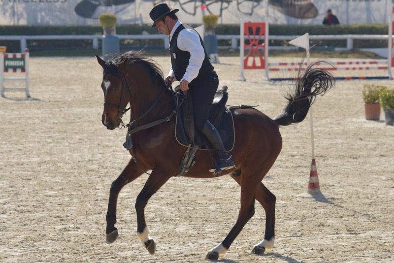 Campionati Mondiali Working Equitation: ecco gli azzurri convocati