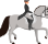 Dressage