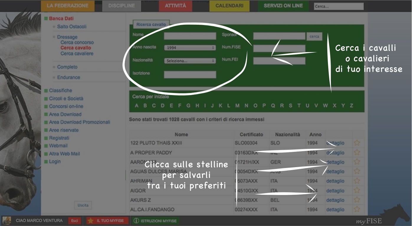 miocavallo