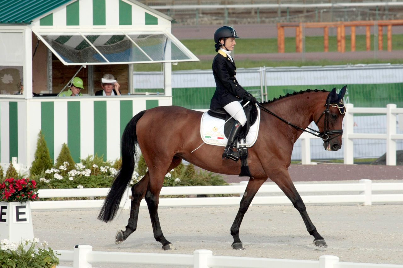 EQUITAZIONE PARALIMPICA: Italia in vetta a Sommacampagna