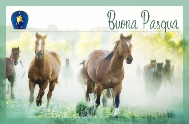 Festività pasquali: Gli auguri della FISE