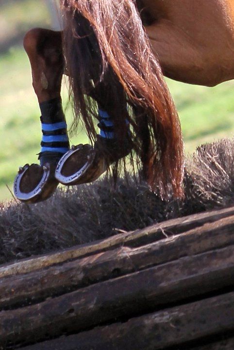 FEI Nations Cup. Il cross-country del CICO di Fontainebleau