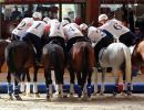 horseball fise rid