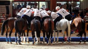horseball fise rid