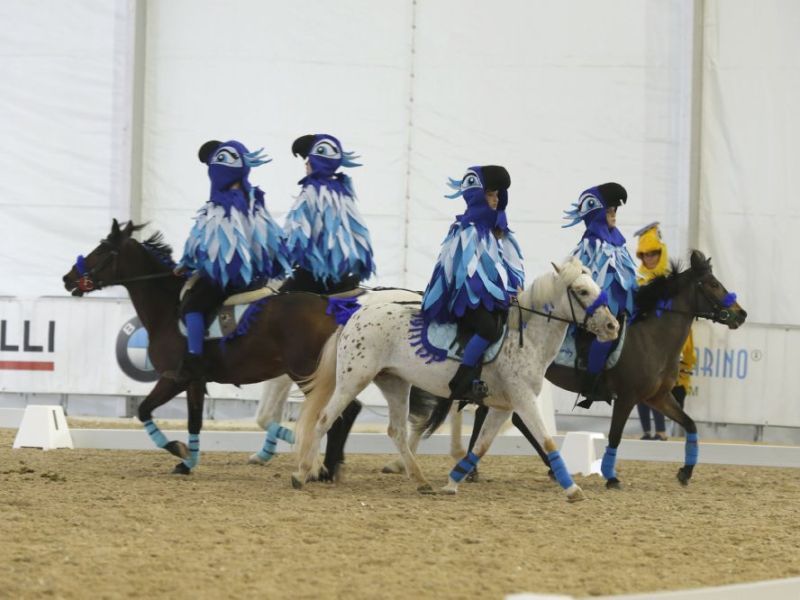 carosello pony  sg31224