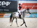 dressage giol5196