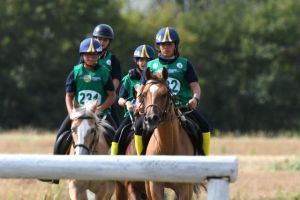endurance gio