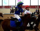 horseball gii