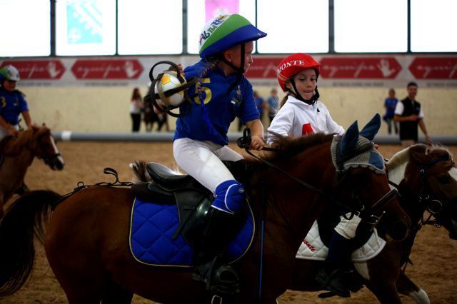horseball gii