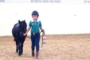 reining   mers0919