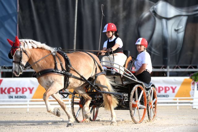 attacchi dressage