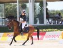 completo dressage