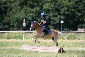country jumping