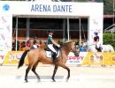 dressage