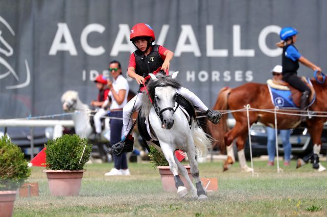 gimkana cross 2   nella si vede la corda come in quasi tutte le foto