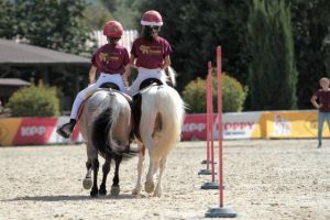 pony games