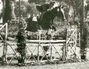 cap. nava2 olimpiadi roma