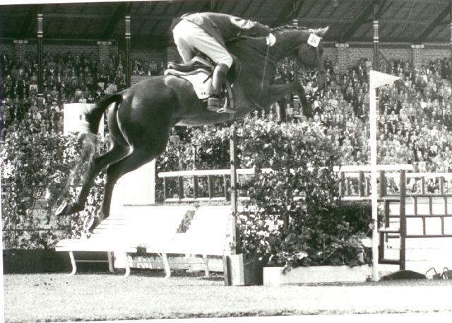 olimpiadi stoccolma cav.non riconosciuto