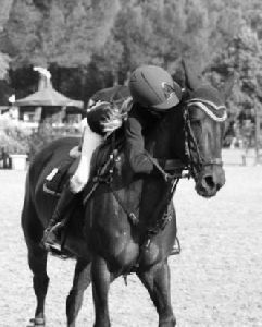 Iscrizioni Ponymania 2016