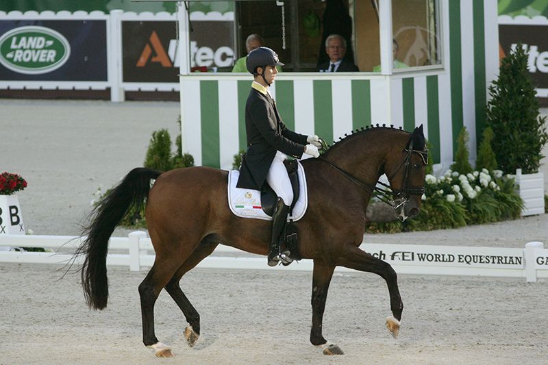 Dressage italiano in Ungheria