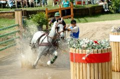 FEI World Singles Driving Championship 2010